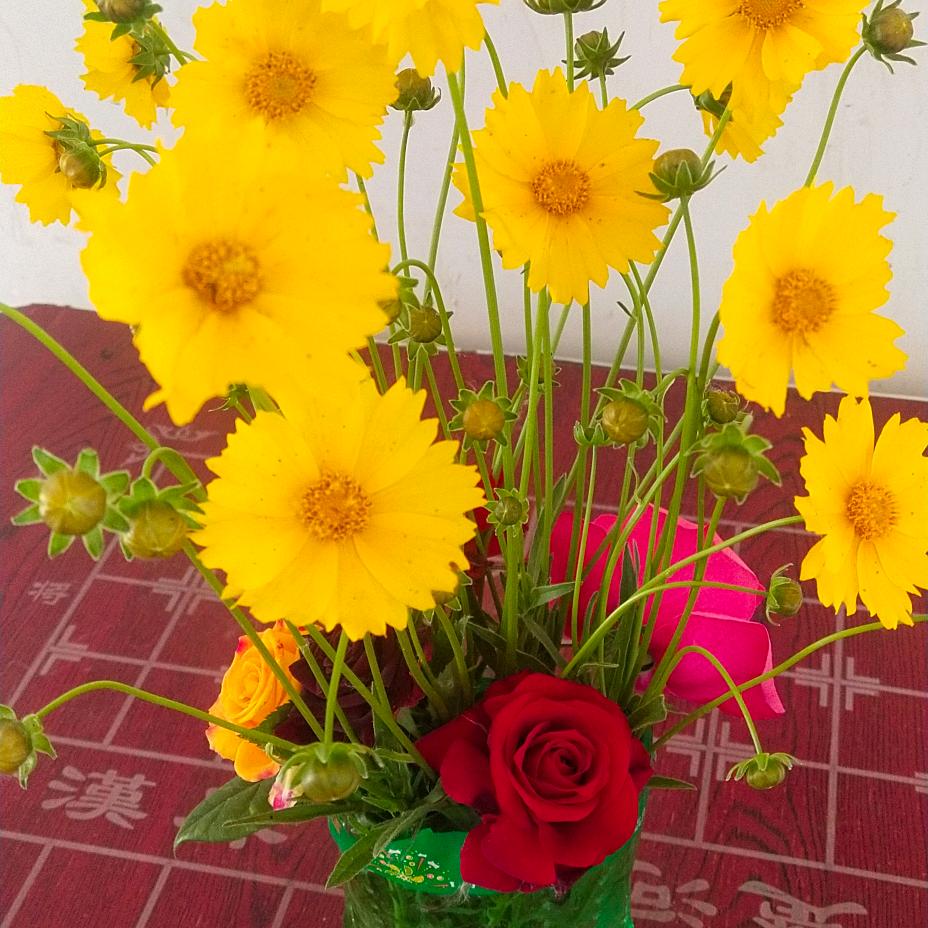 老杨家姑娘🐂🐀🐉🌹🌹🌹