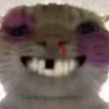 鼠鼠