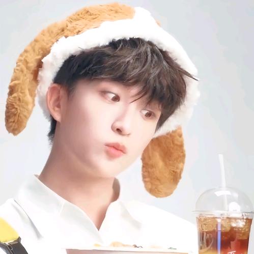 小狗麦当当