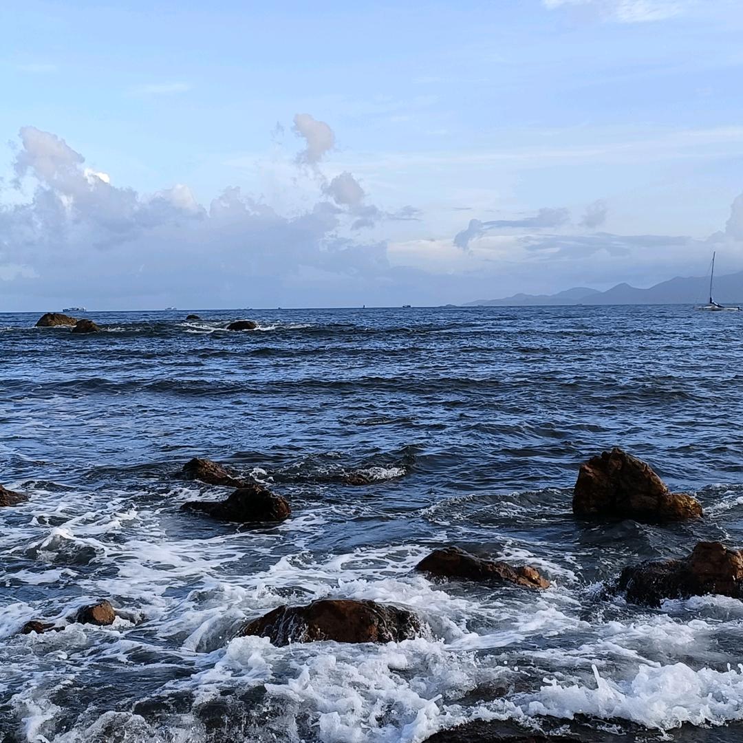 （´◔౪◔）宝总&