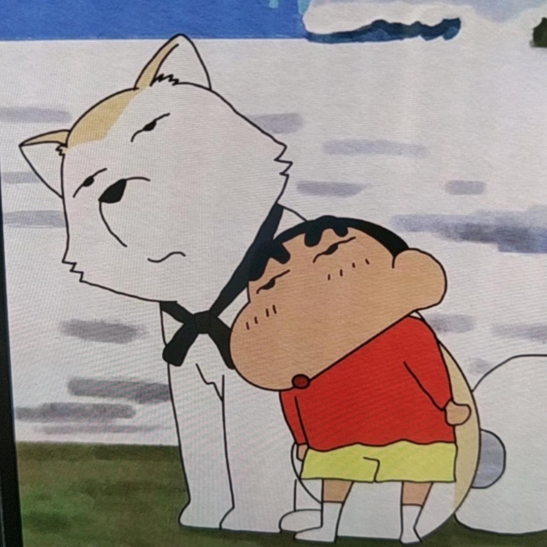 帅气鲨鱼