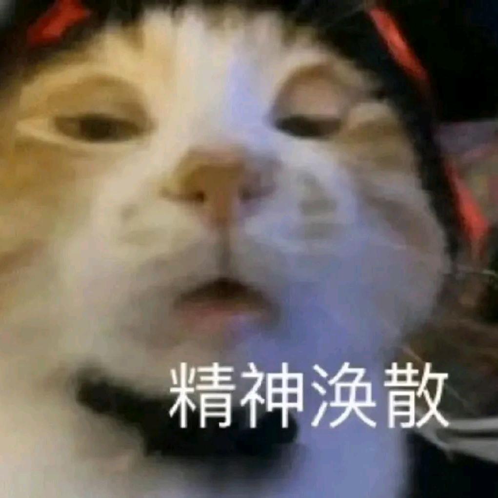 蒙面好汉三条伍