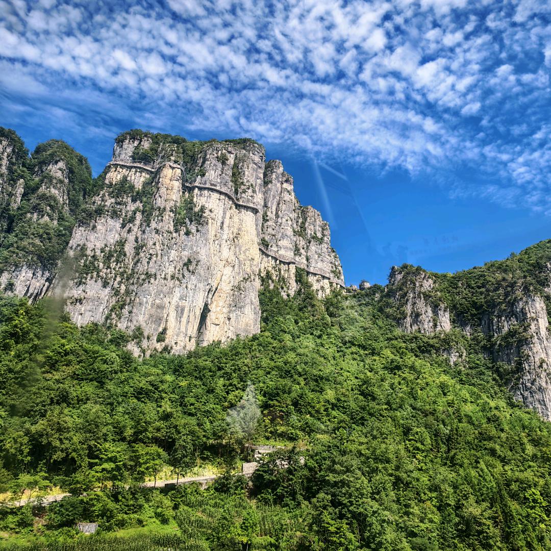 梁夜直播爆款返场