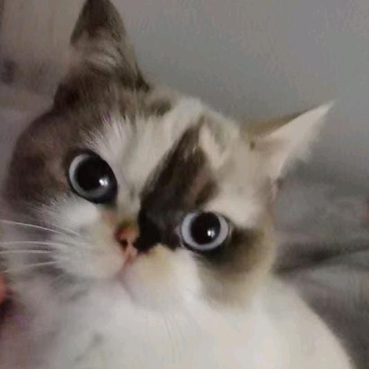 往事