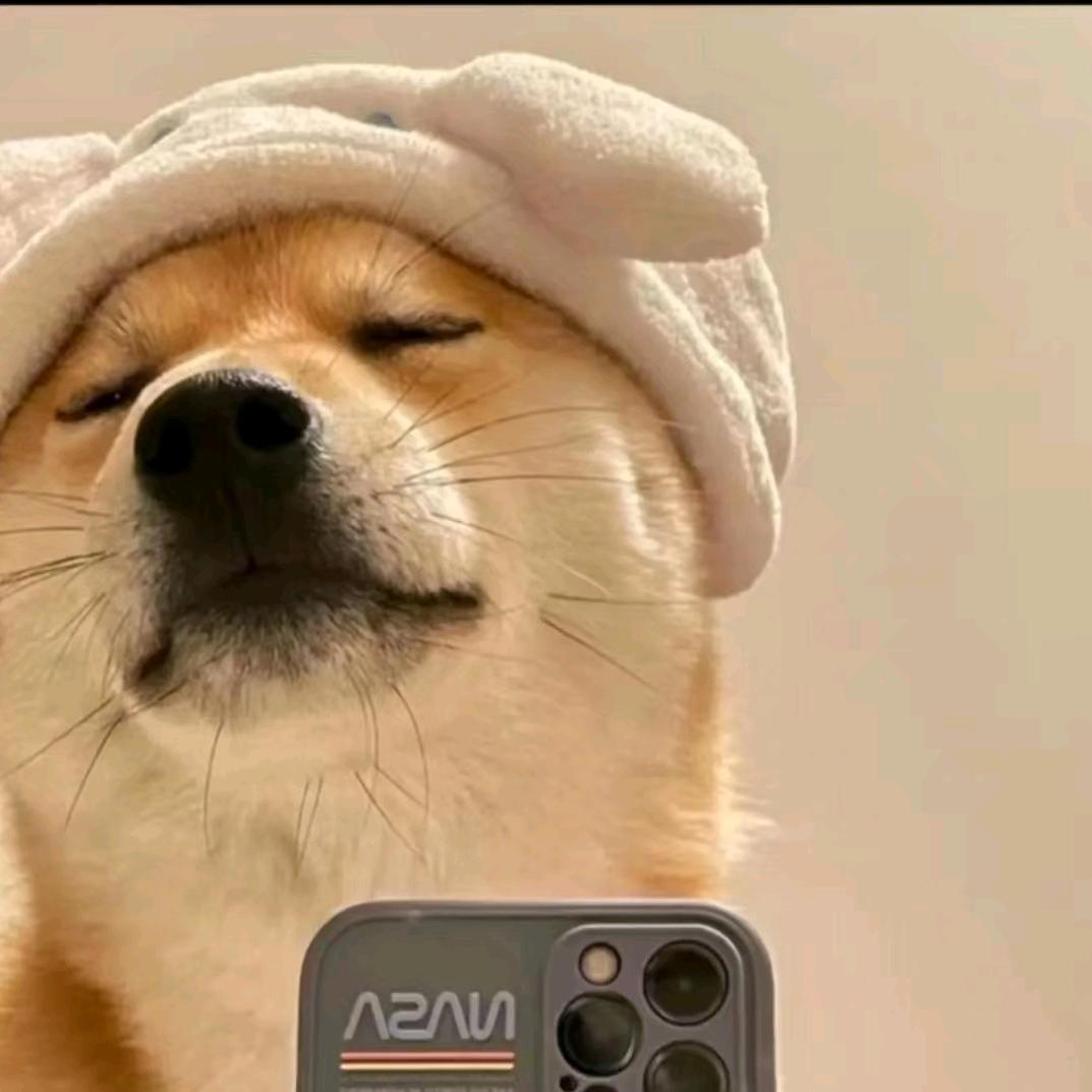 执星祈白首❤️