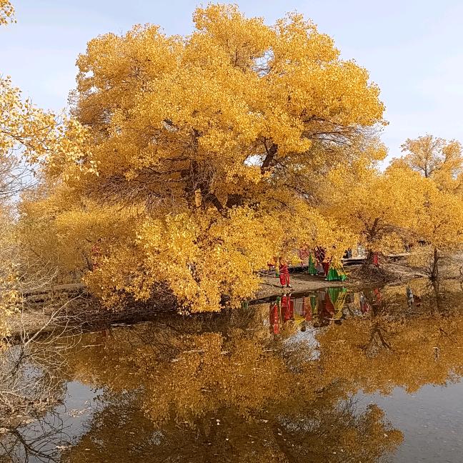 酒泉的春夏秋冬