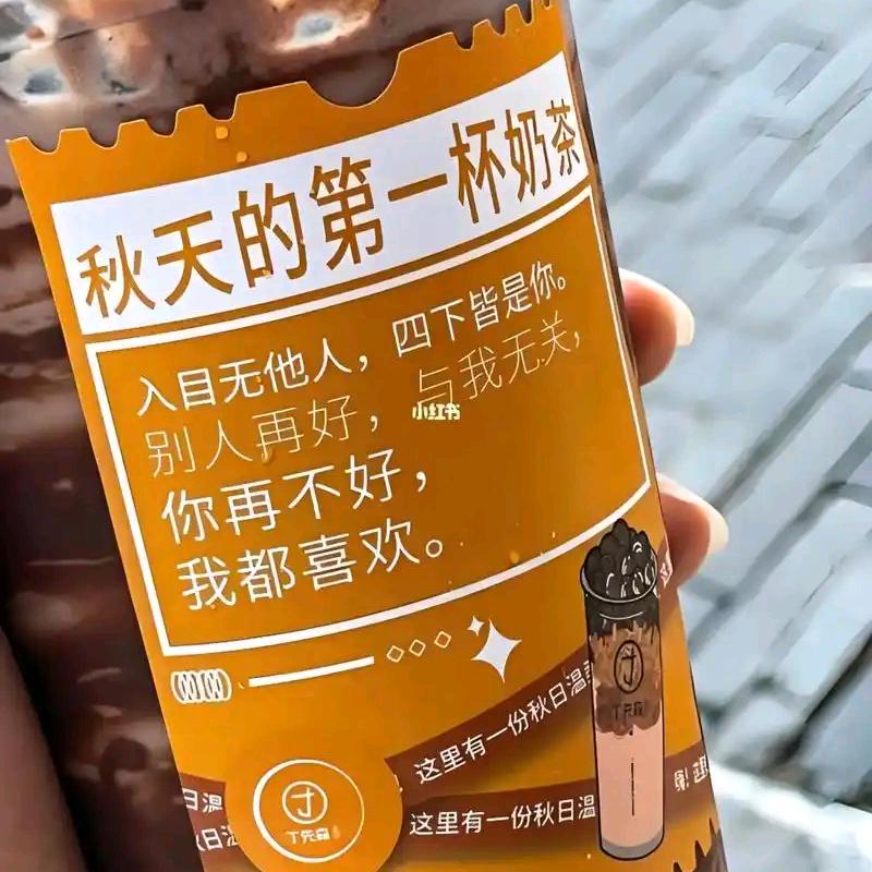 朝暮与茶
