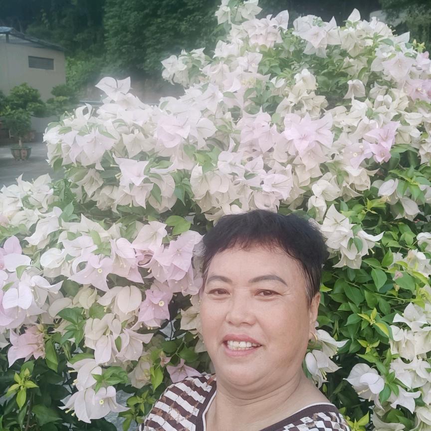 秀妹妹