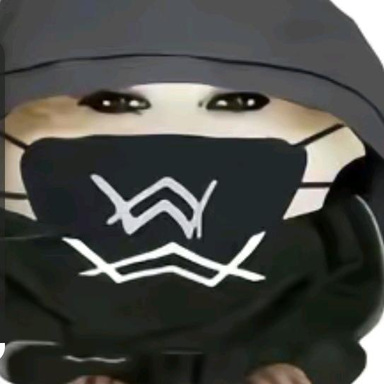 嘉豪