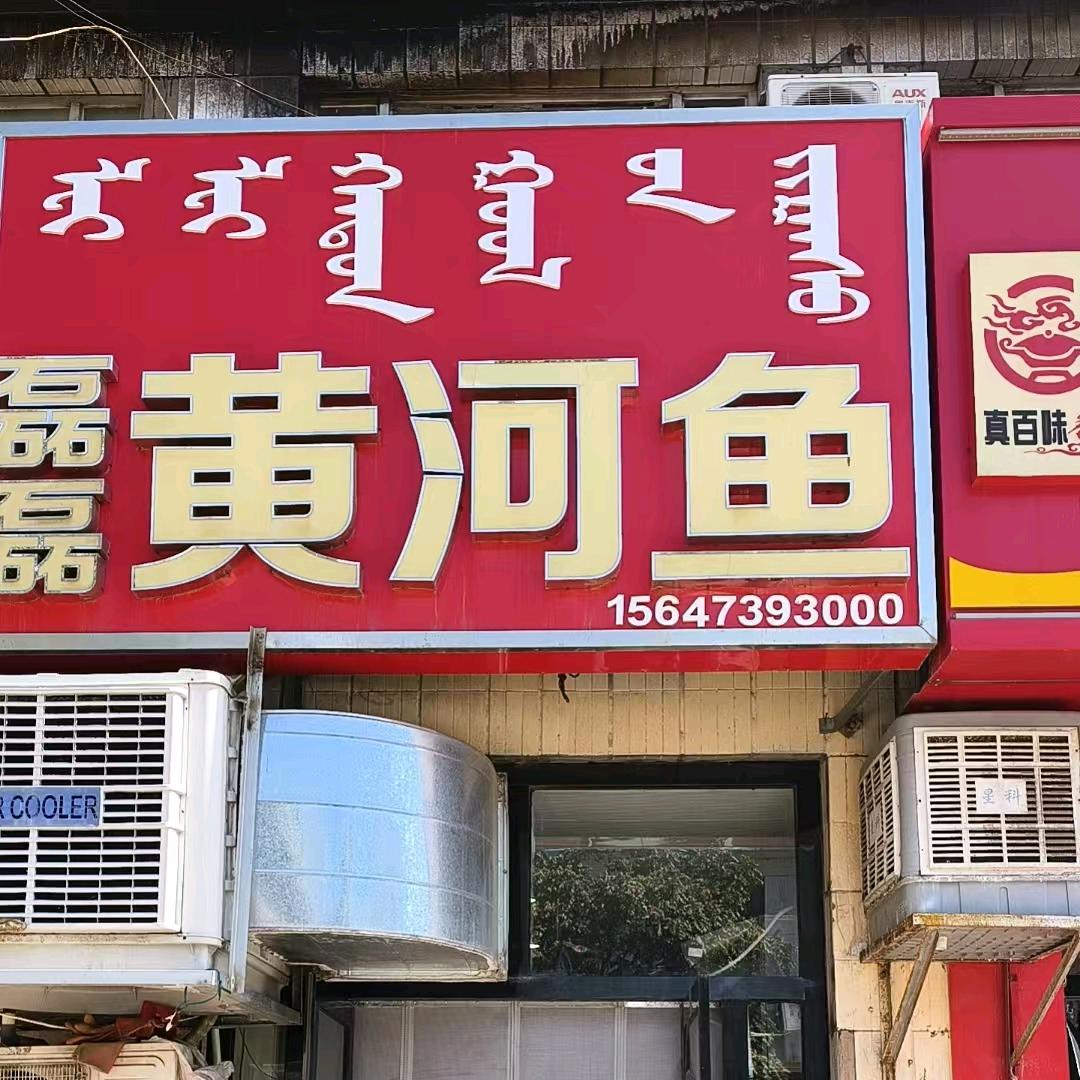磊磊黄河鱼