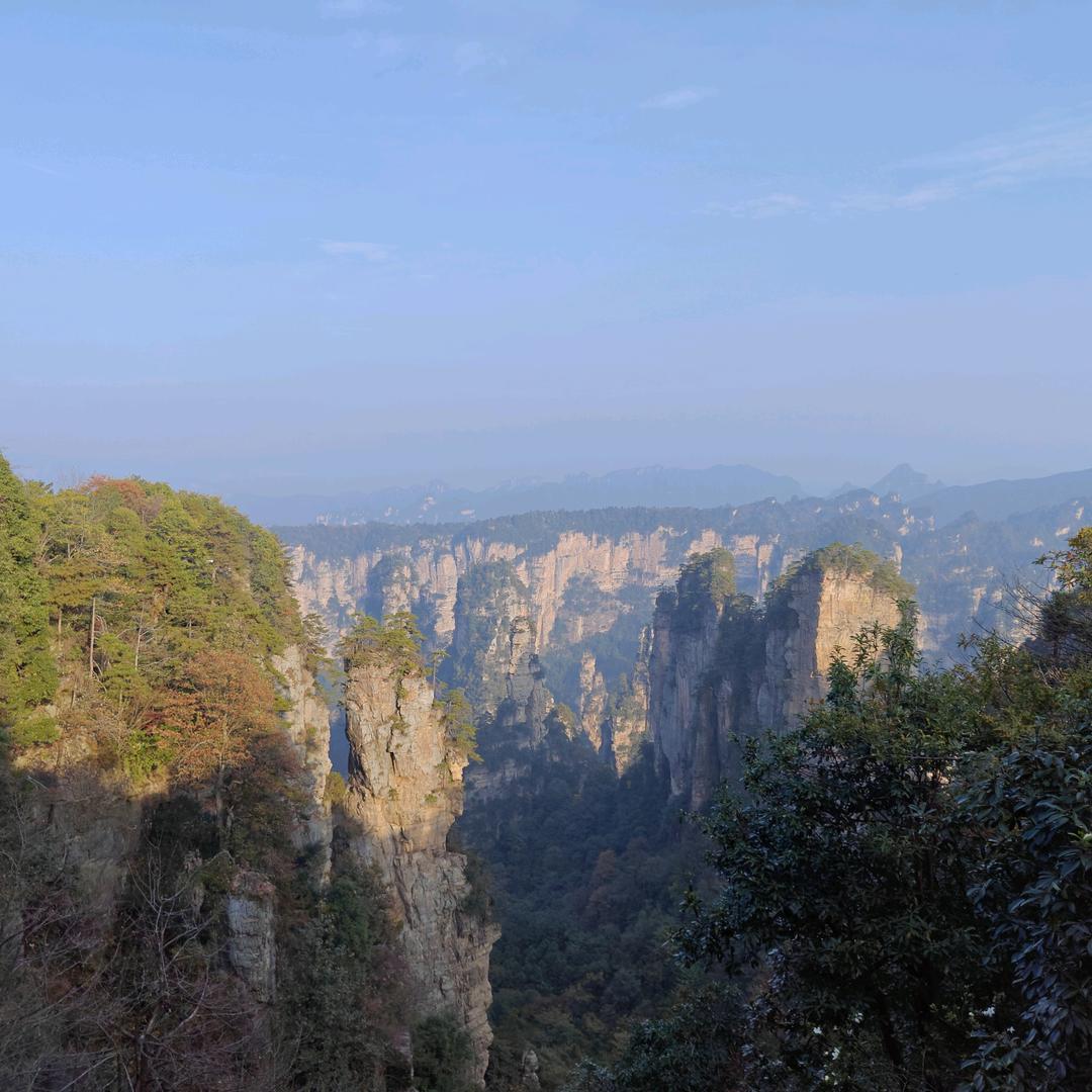 升学规划徐老师