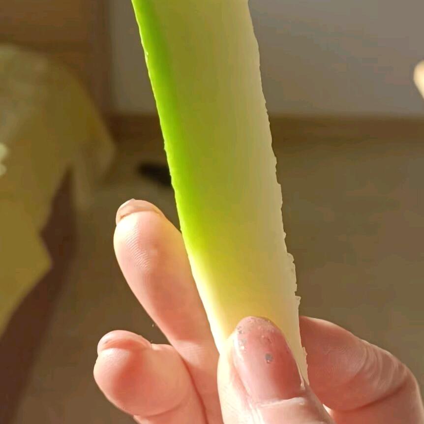 小十五