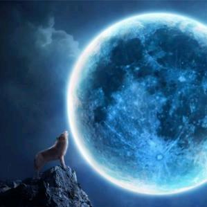 醉后决定爱上酒