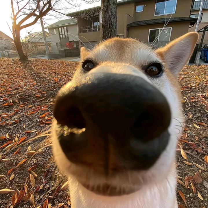 铭