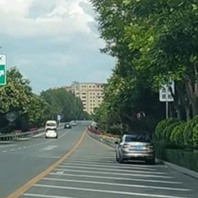 狮子与蓝墨水♌