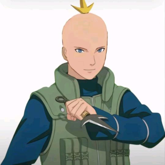 杂毛
