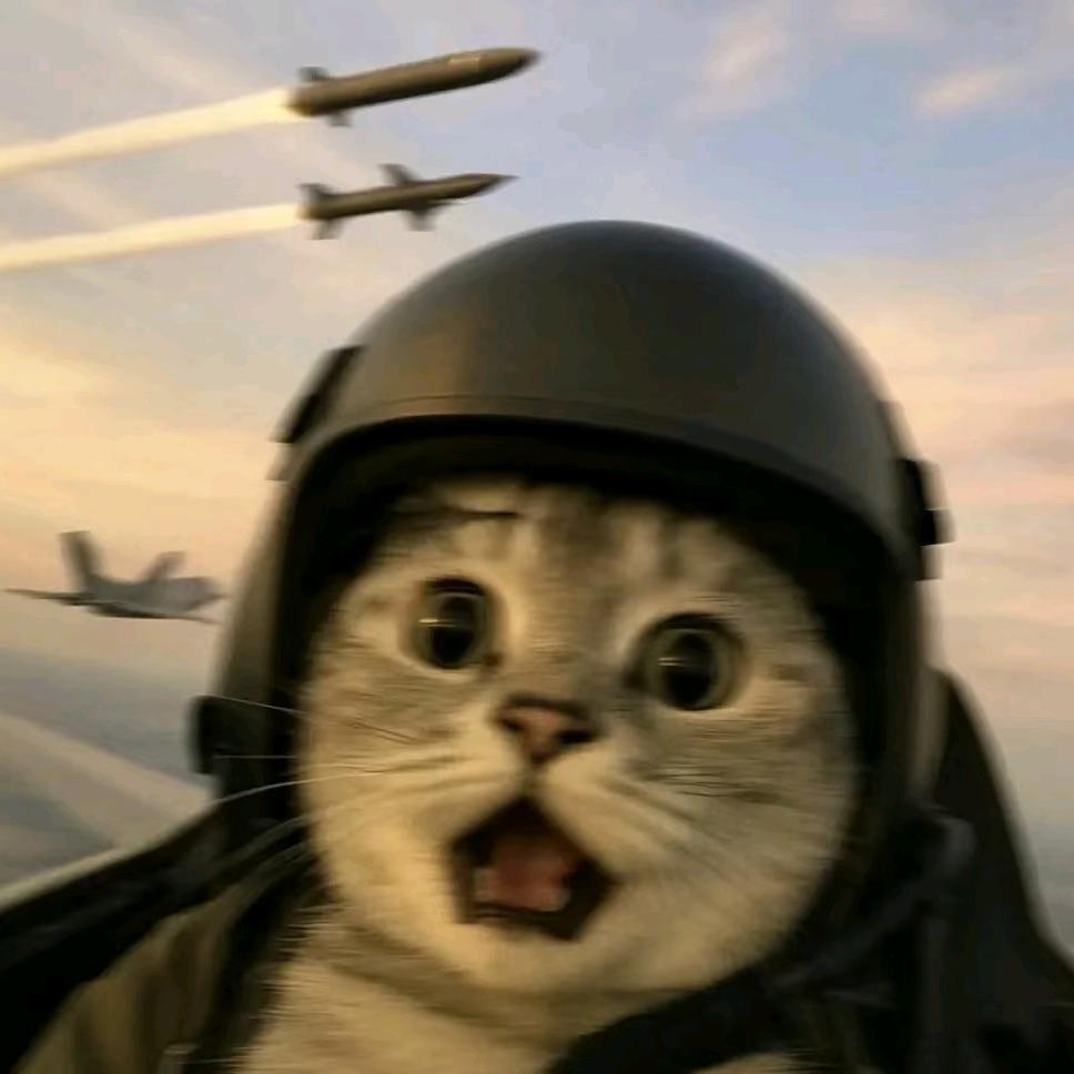 安徽电院小崔学长