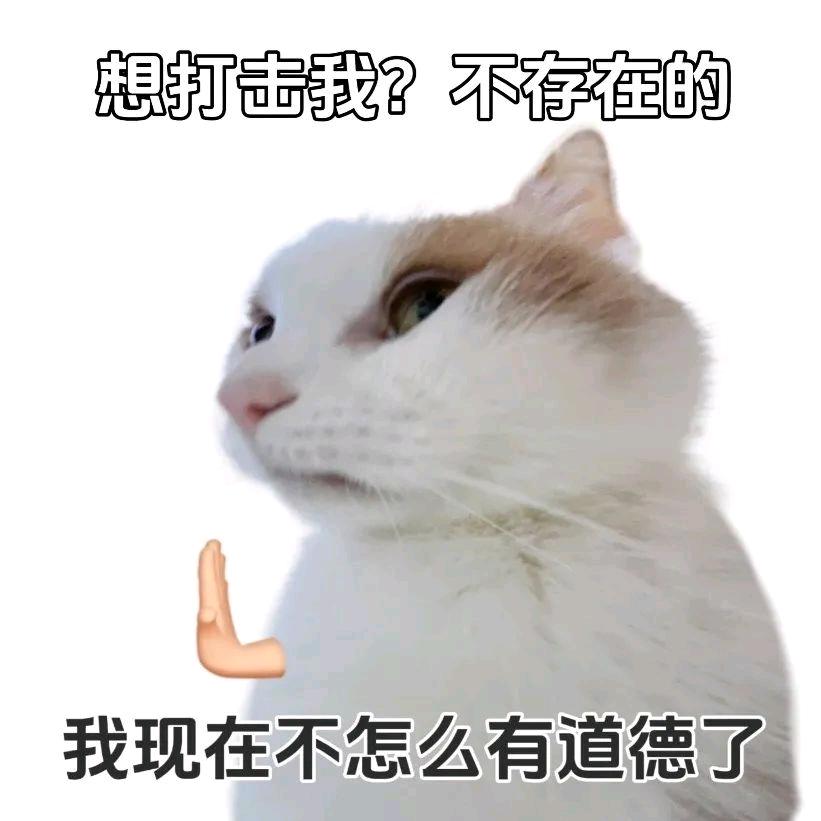 山不在高