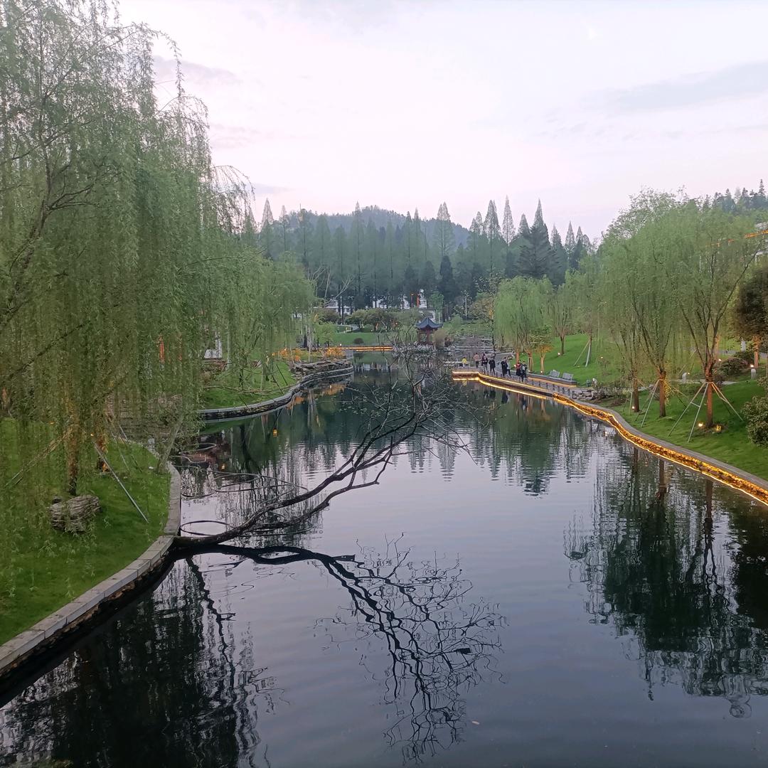 এ柠檬加冰🍶དྷ༗࿐