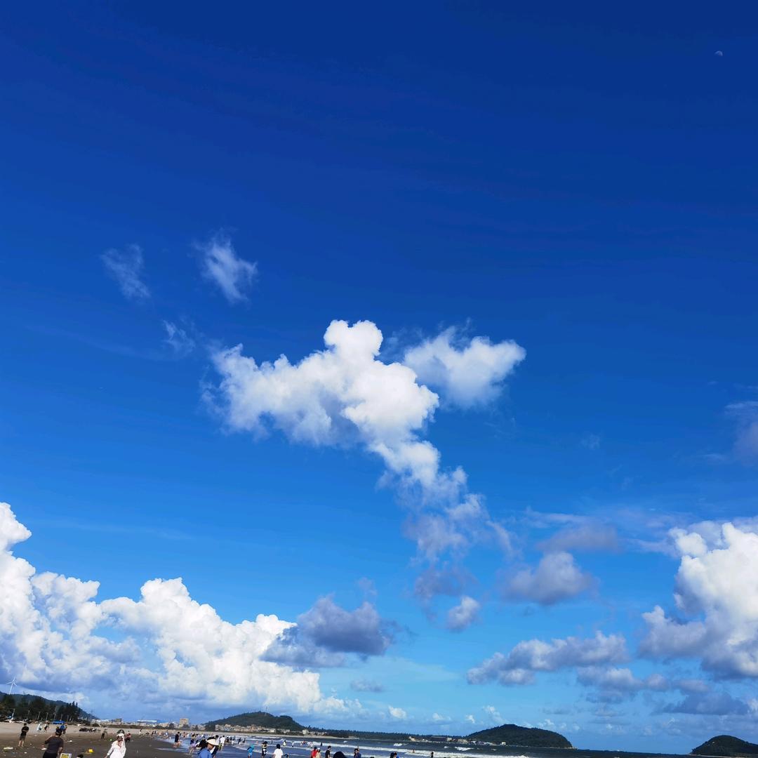 剑横天下