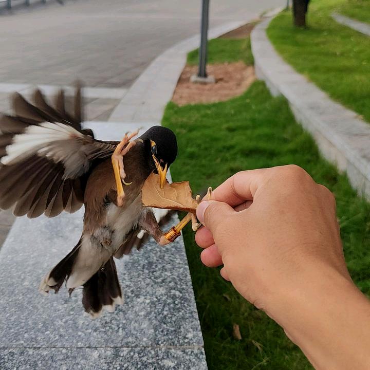 初听是靓仔，再听是阿叔