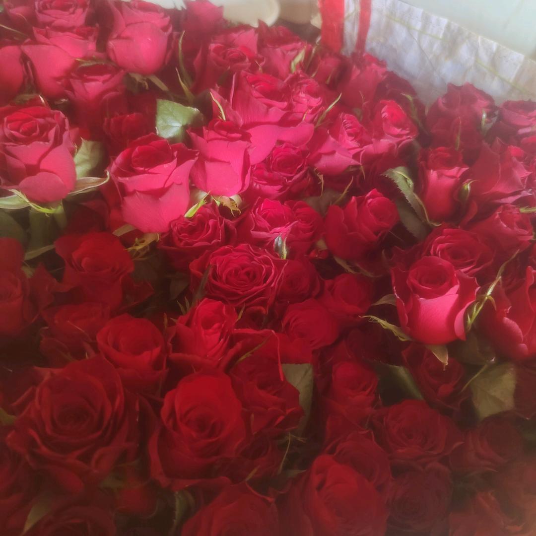 珍惜缘分🍀🍀