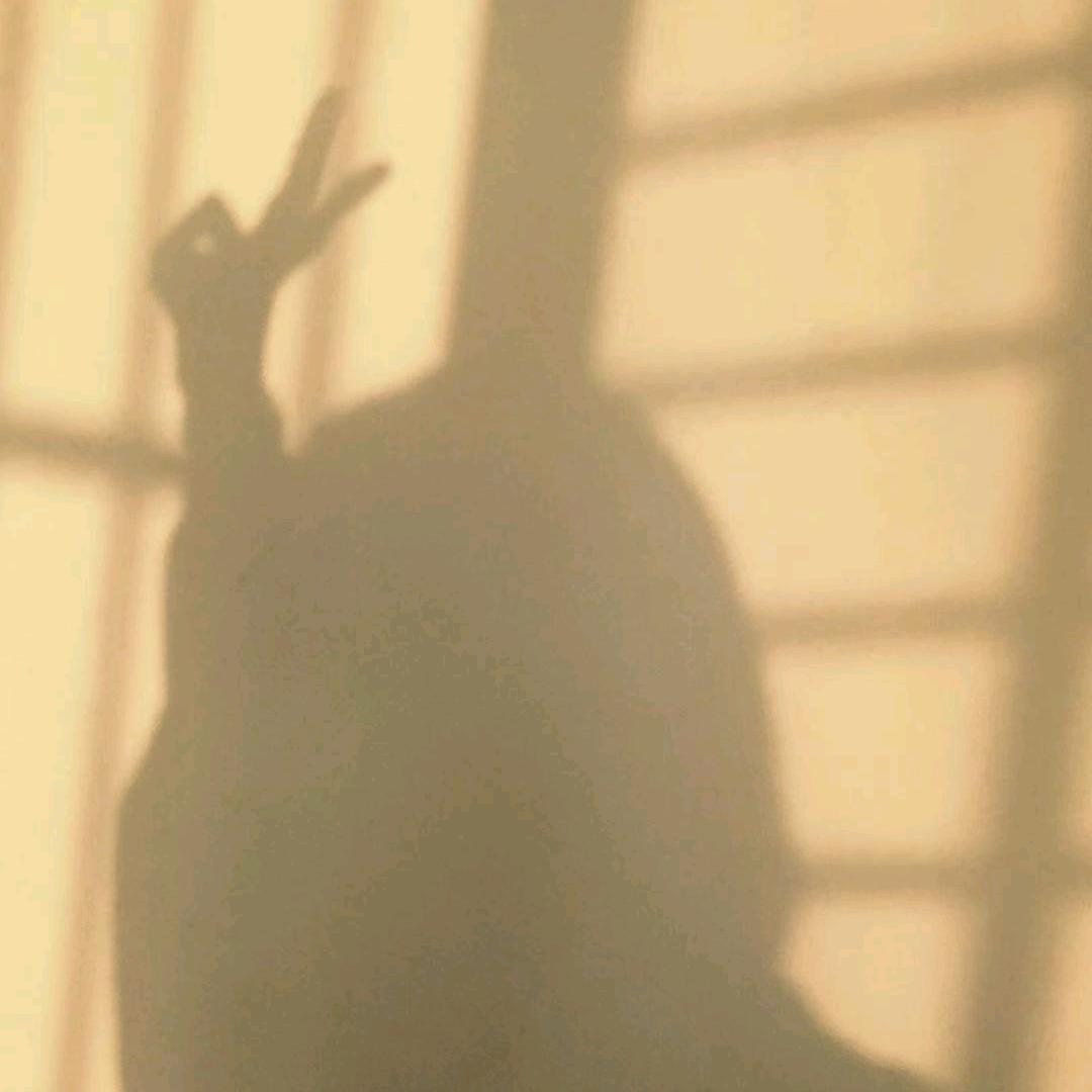 尐.猫ル¤乖乖猫