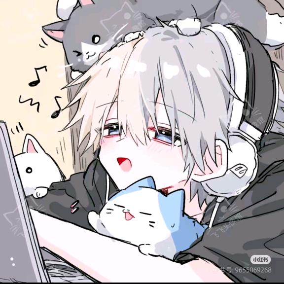 小灰灰大王