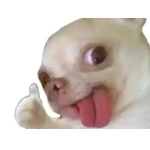 铁蛋碎冰冰