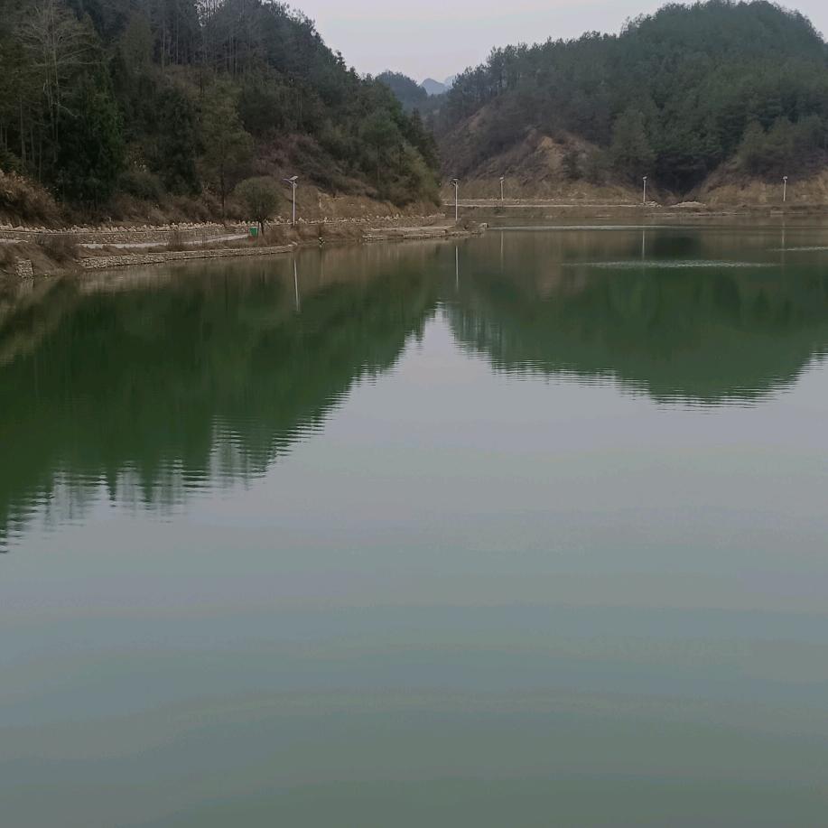 随缘