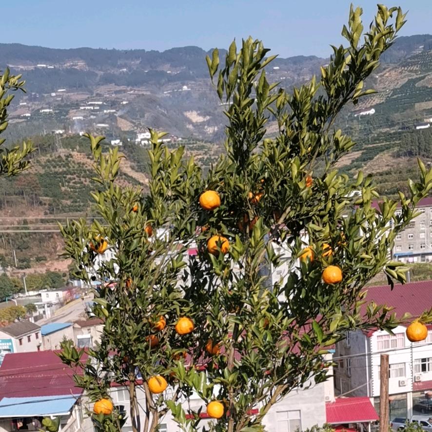 等风来