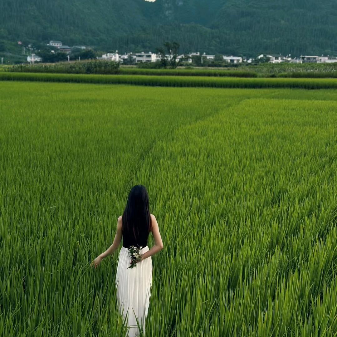一路风景