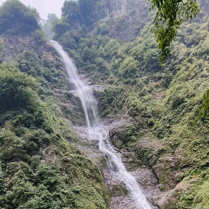 凉心