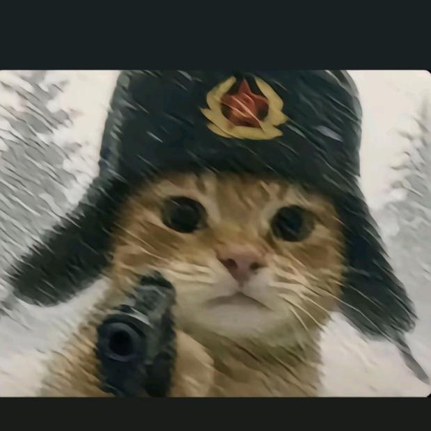 阿洋电竞（三角洲行动）