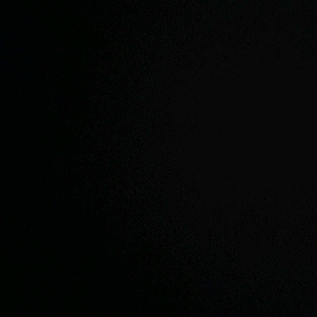 坚果东