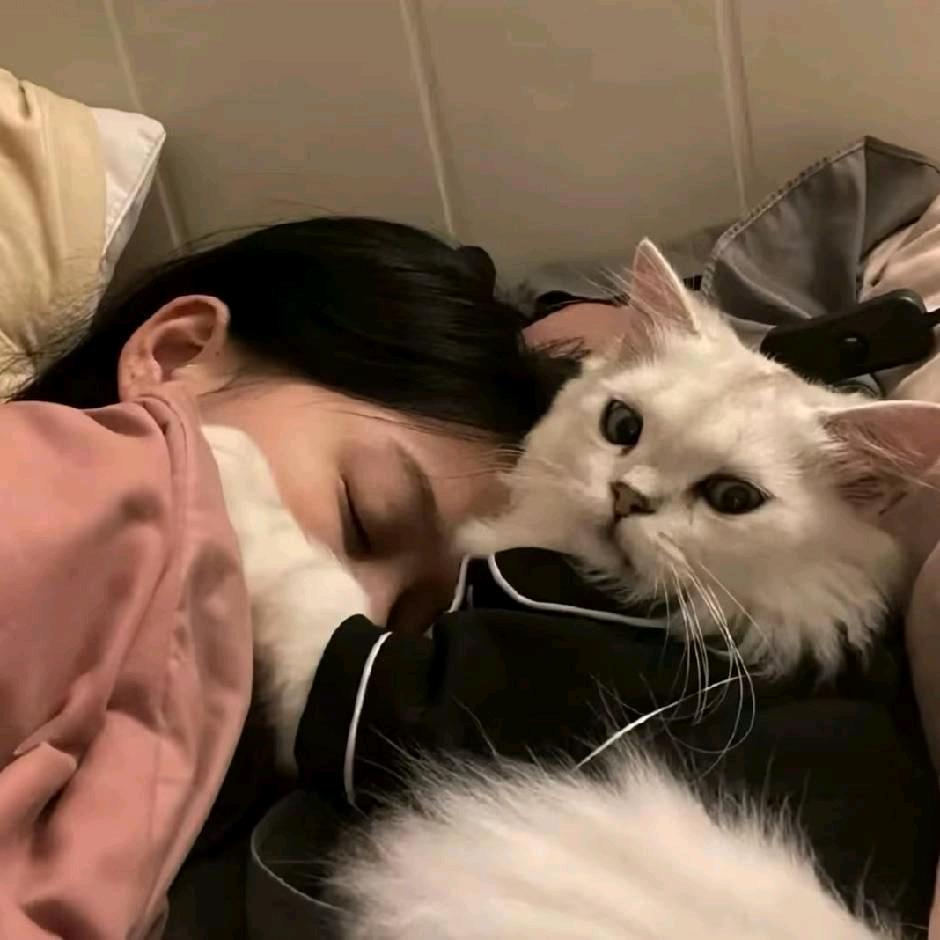 林间微@