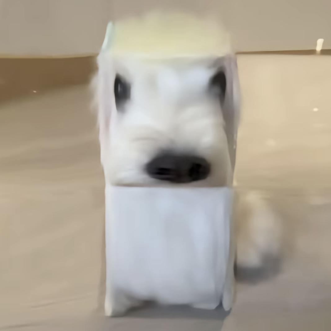 小呆子