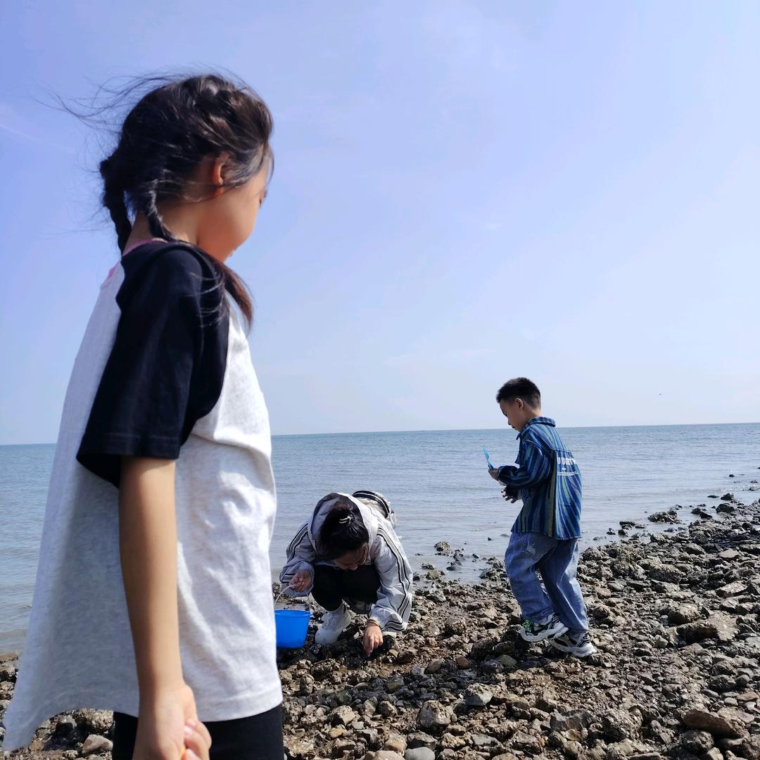 丁树龙龙龙龙龙龙