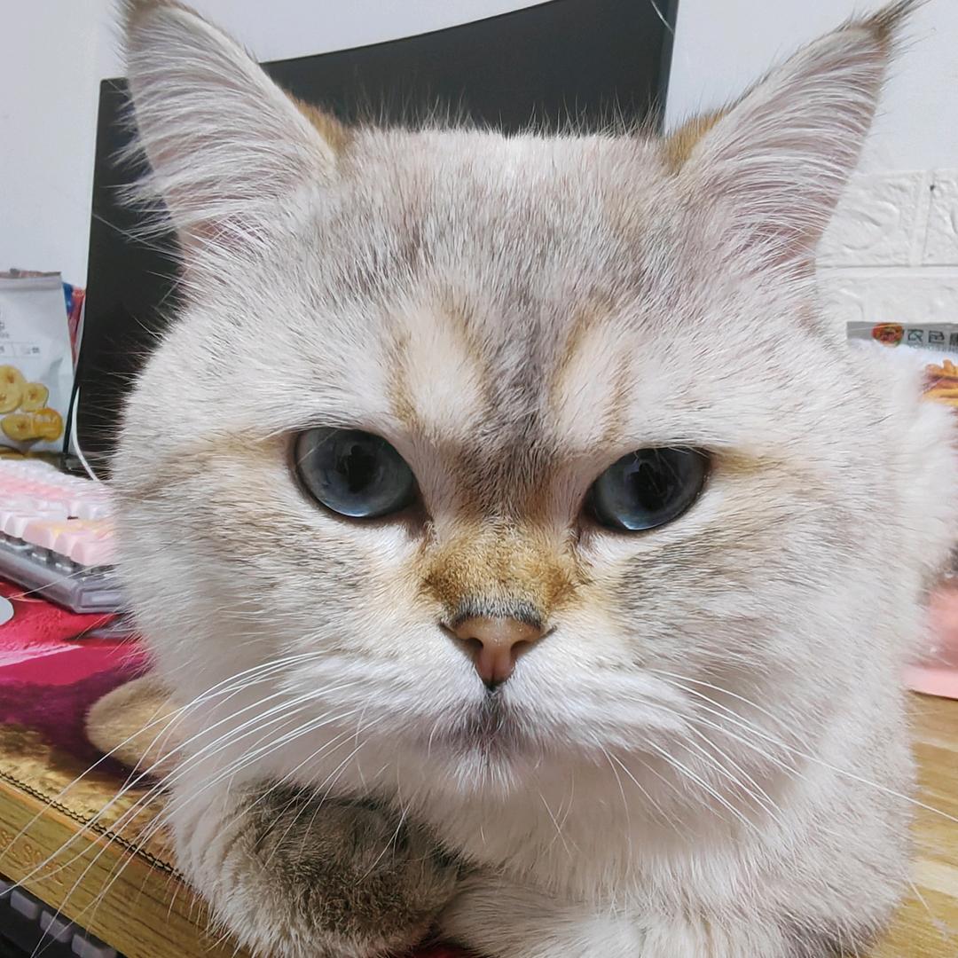 把自己活成一束光