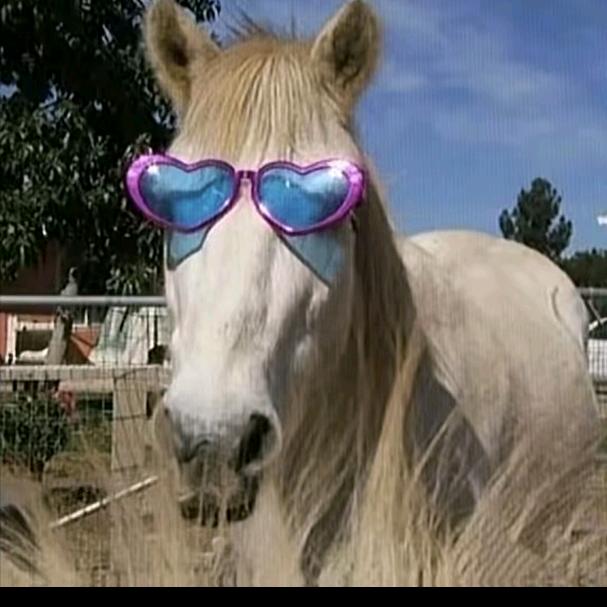 我一定要去拉萨