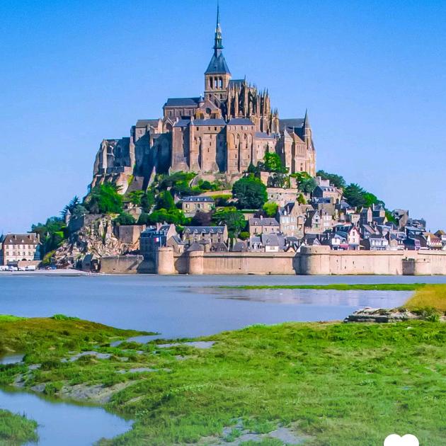 城市套路深我要回农村