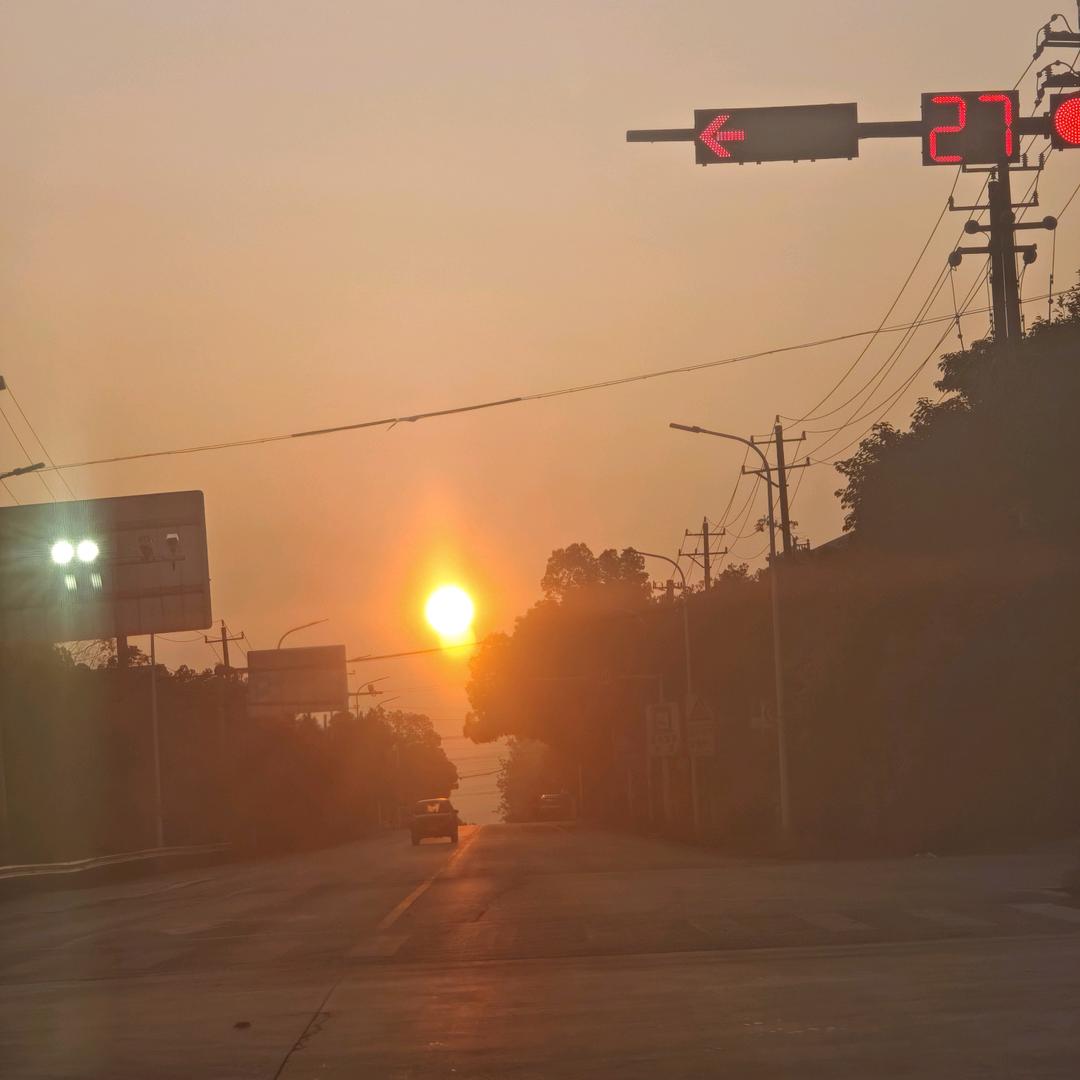 阳光下的橘子婕