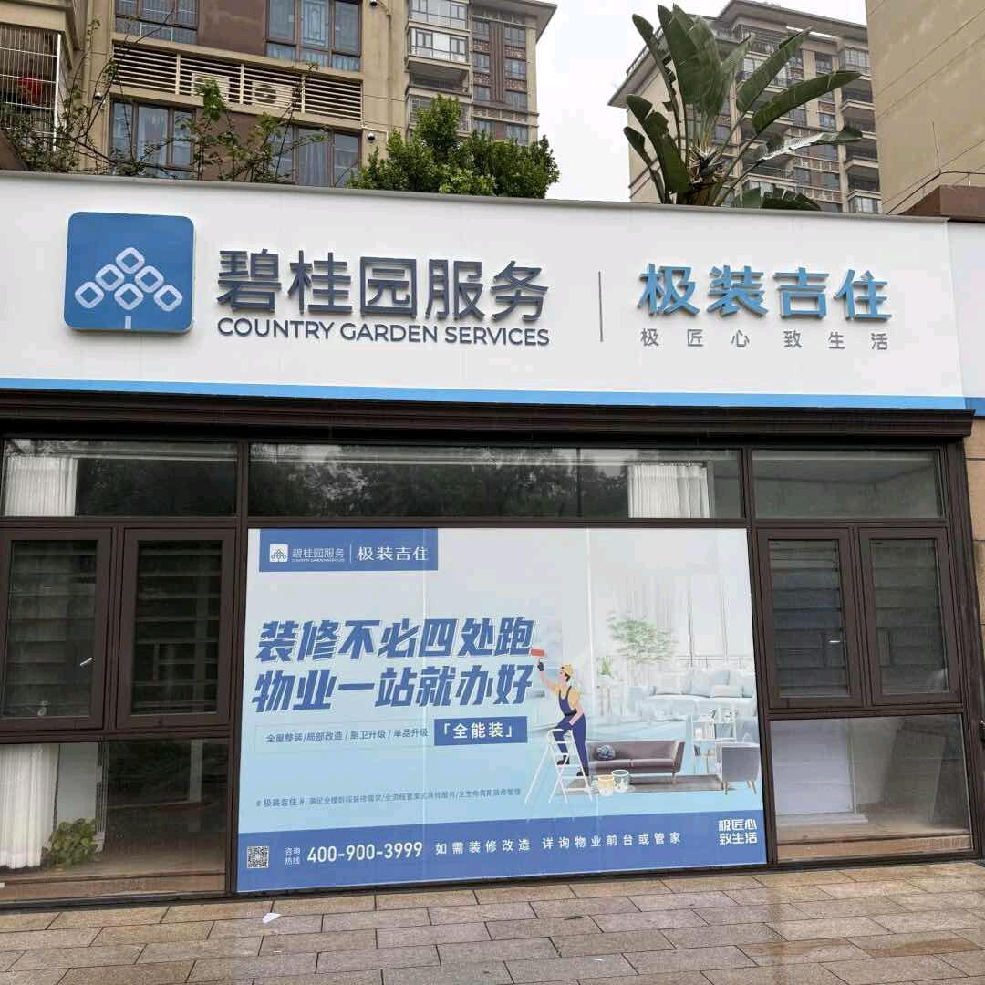 碧桂园极装吉住