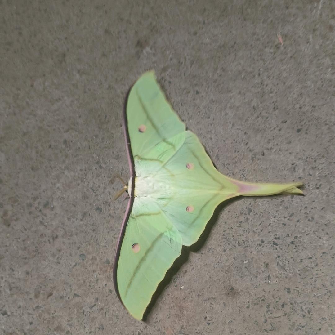 爱财💓💓悦己