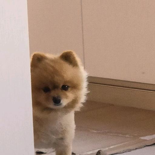 奔跑在路上的蜗居人