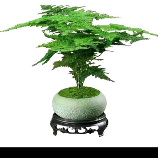 🍂🌱有🪴你🥕们🌿才🌿开🎋心