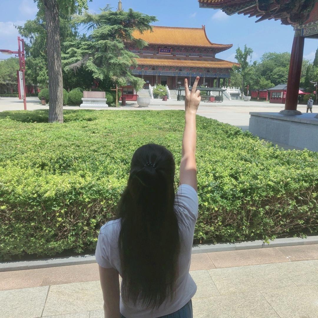 心想柿橙