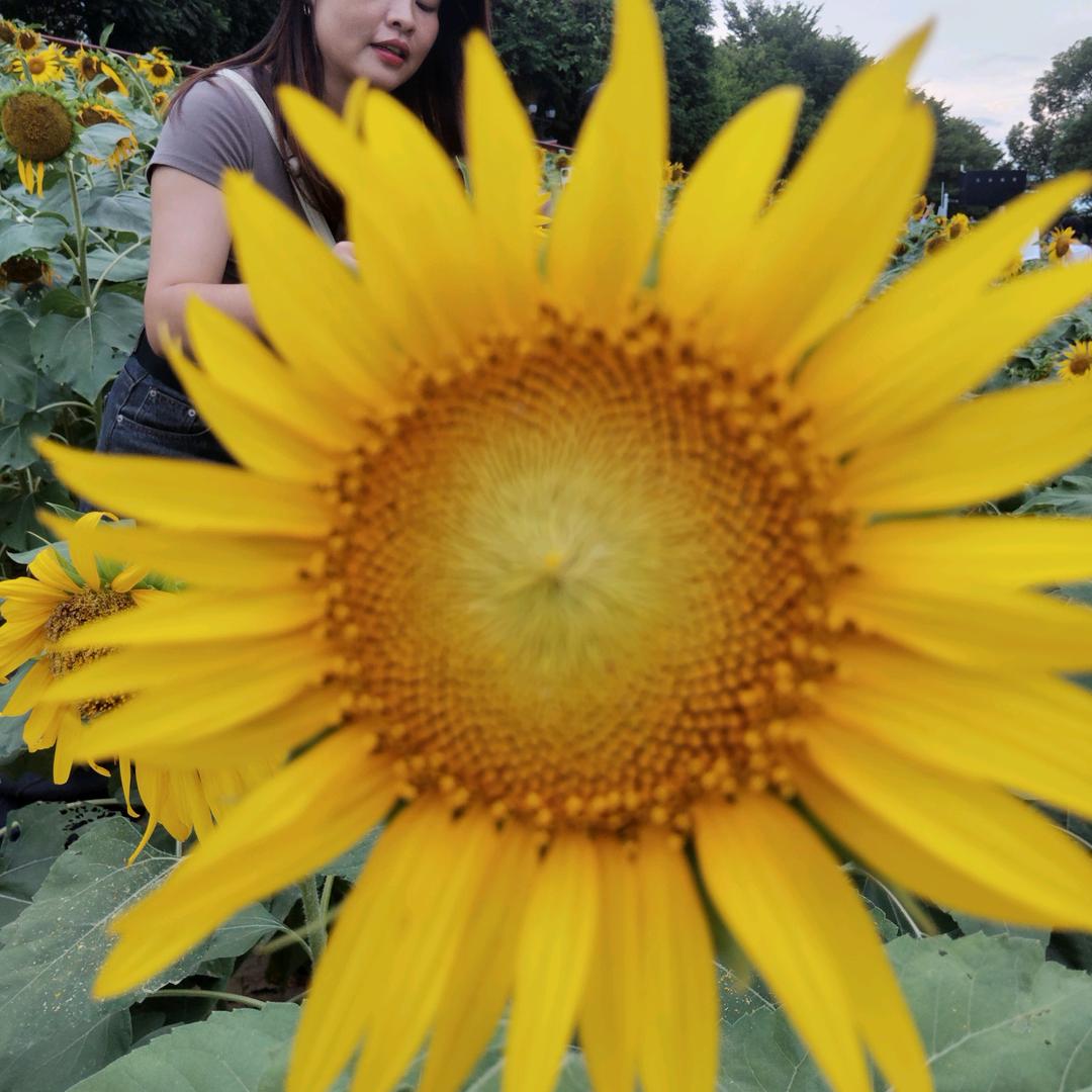 雨后的彩虹