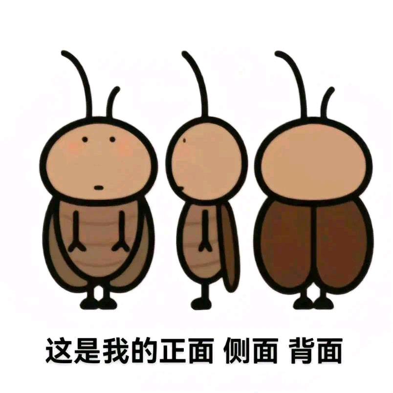 小蟑螂去华莱士