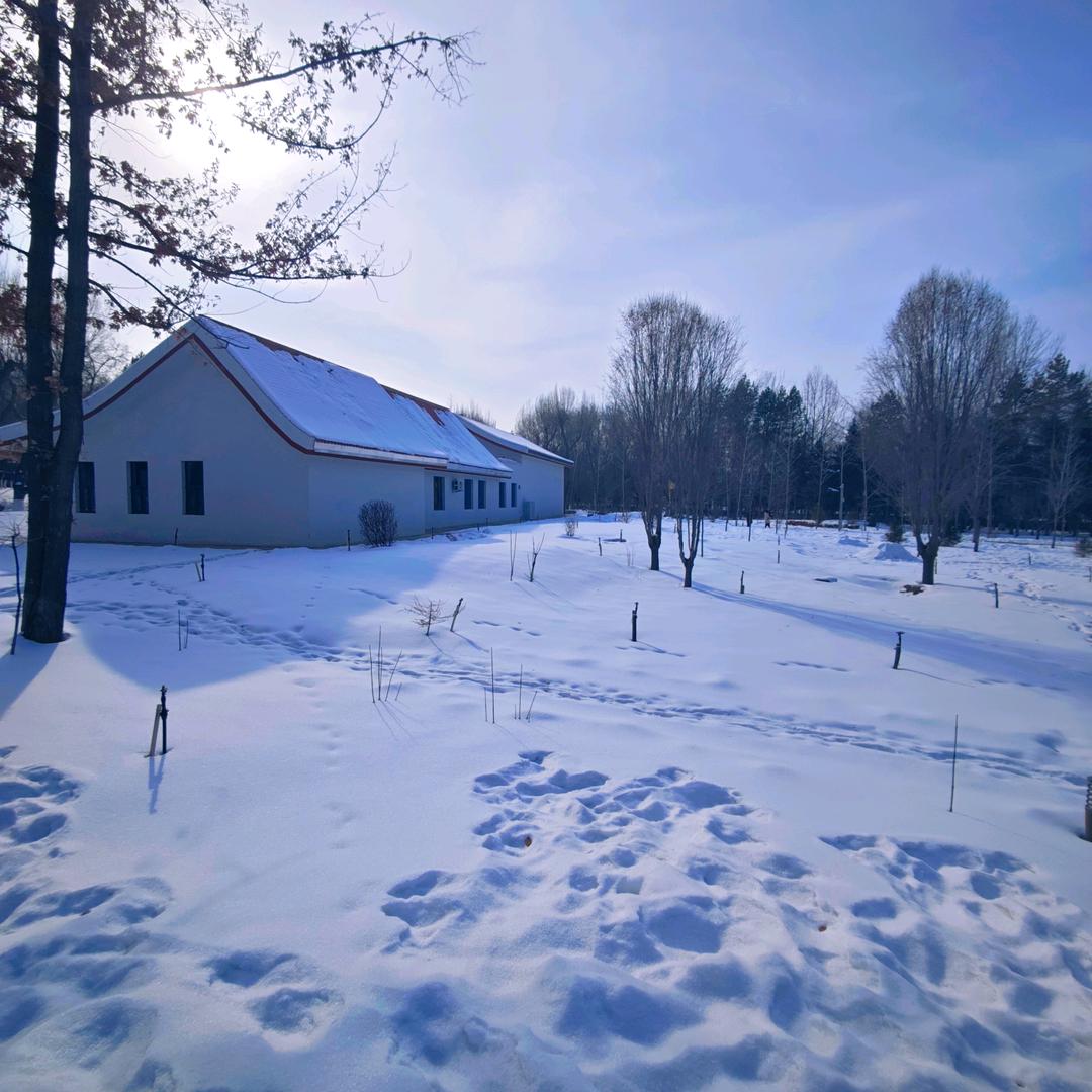 💞ᥫᩣ未来可期🍒